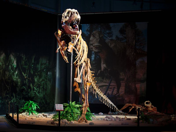 выставка диназавров в Чехии